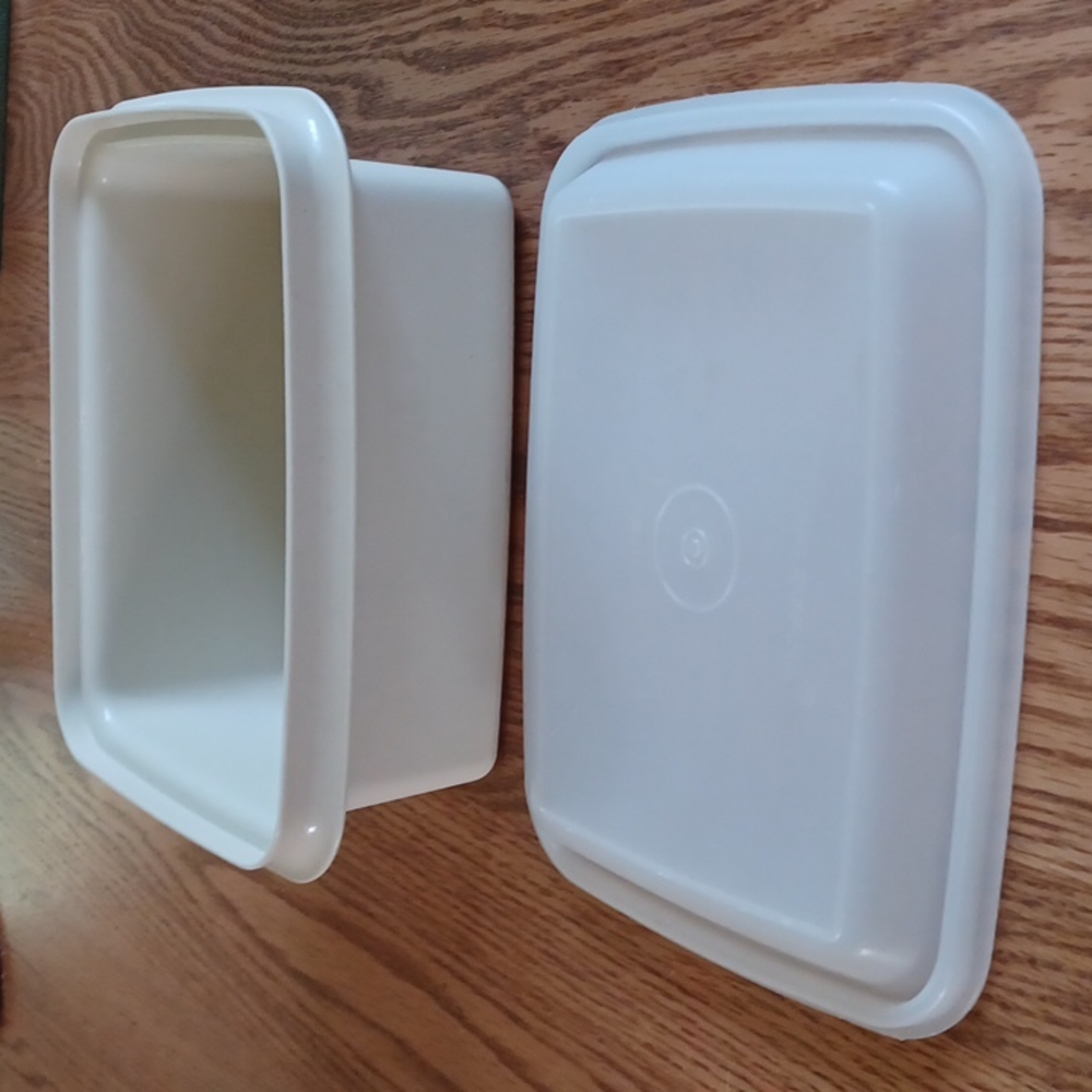 Tupperware Ice Cream container